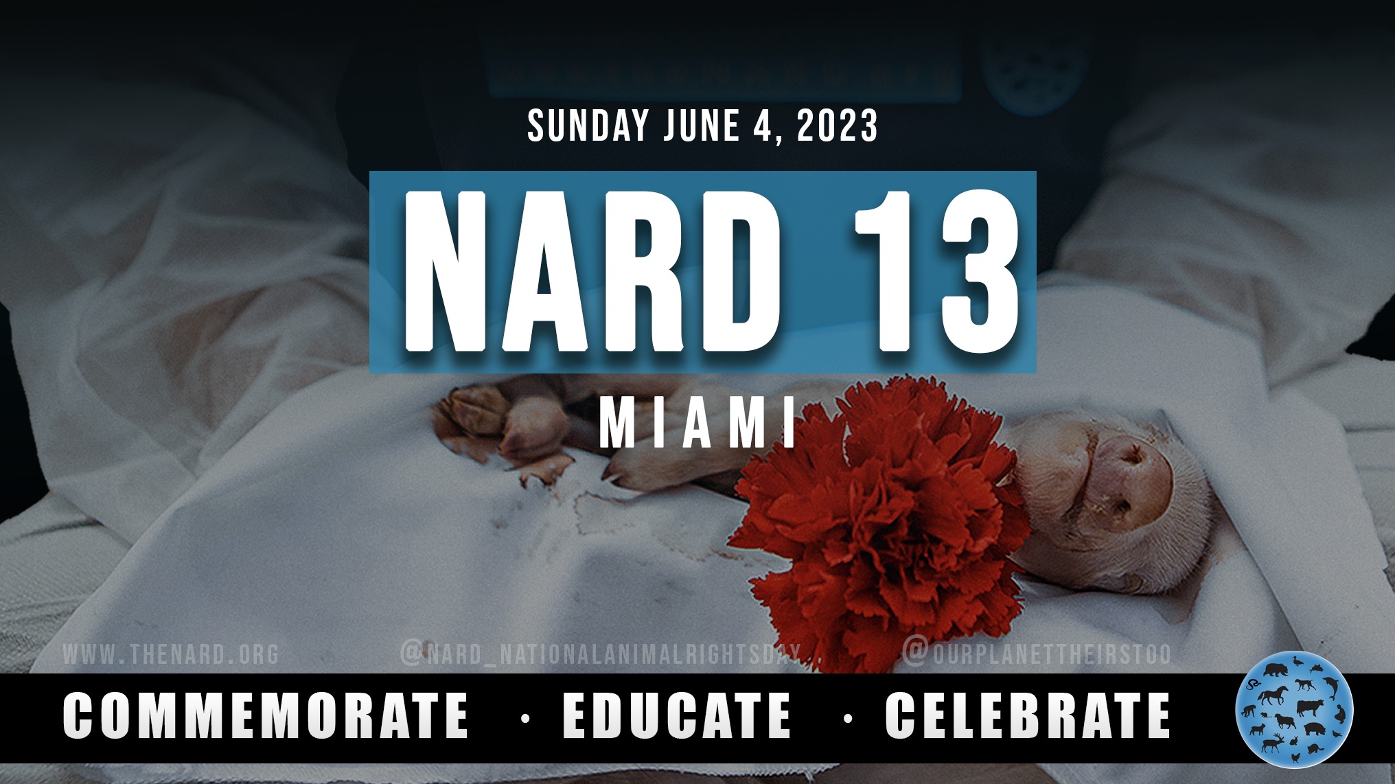 SoFlo Animal Rights