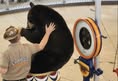 SoFlo Animal Rights