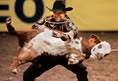 SoFlo Animal Rights