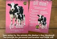 SoFlo Animal Rights