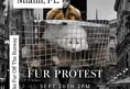 SoFlo Animal Rights