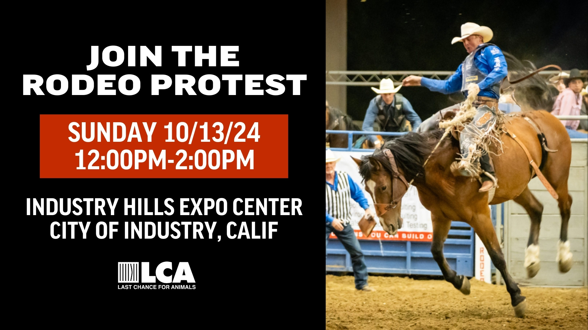 Last Chance for Animals - LCA