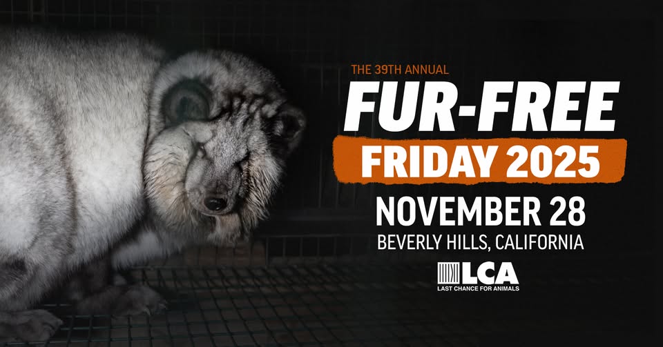 Last Chance for Animals - LCA