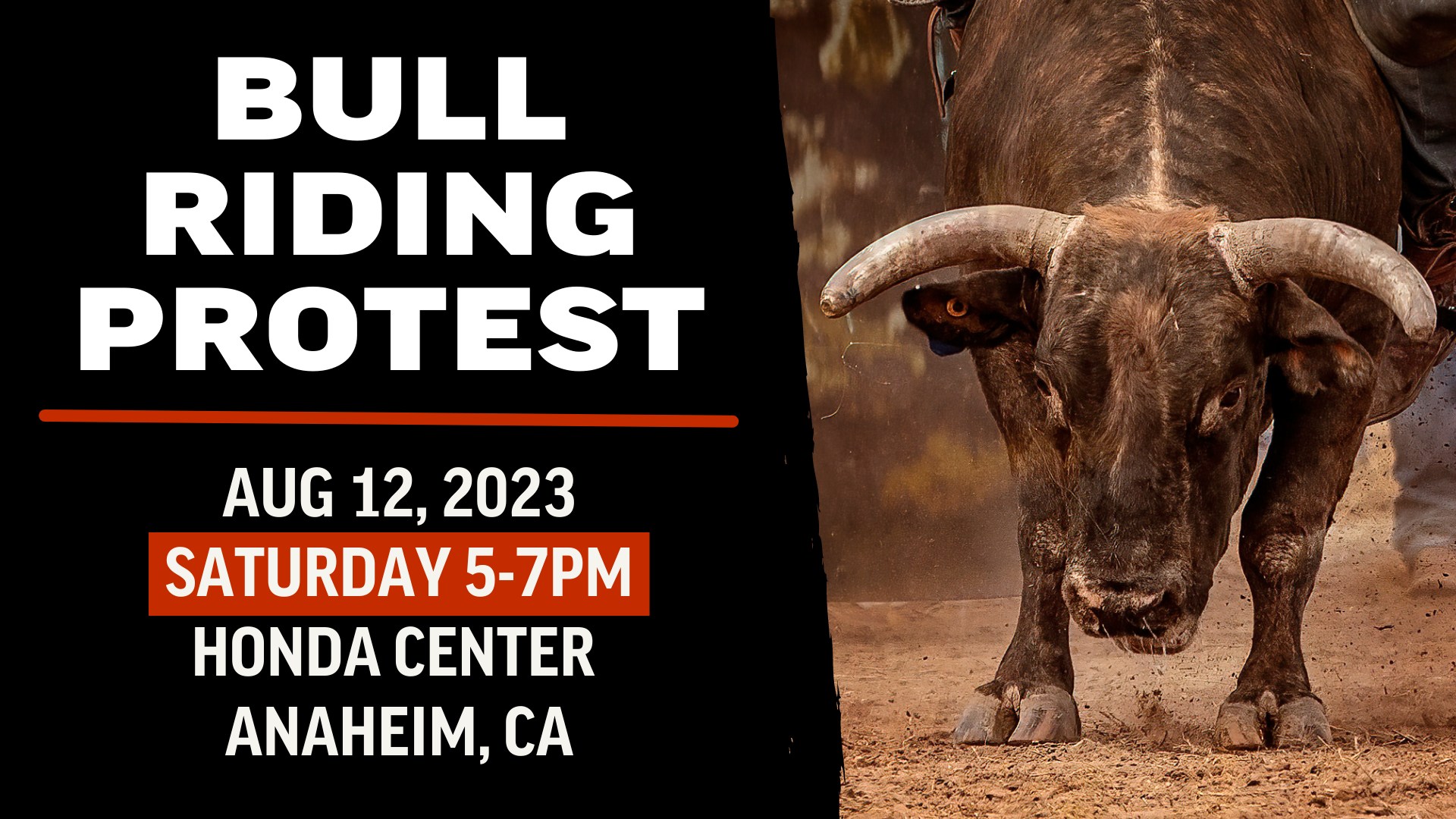 Last Chance for Animals - LCA
