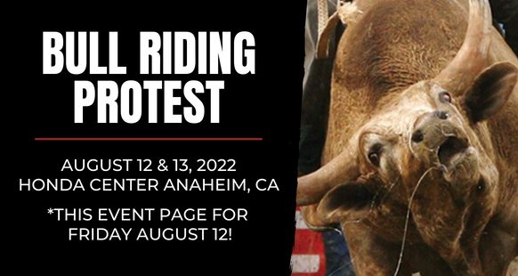 Last Chance for Animals - LCA