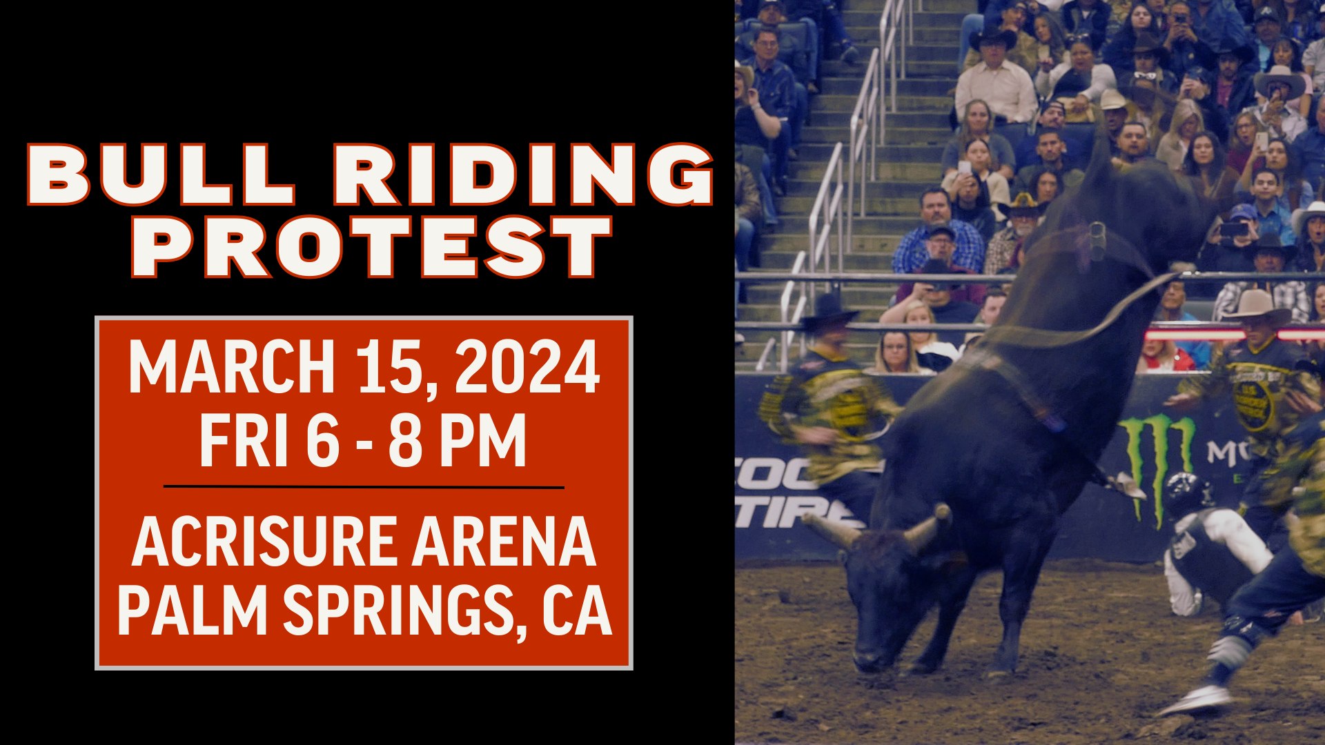 Last Chance for Animals - LCA