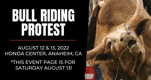 Last Chance for Animals - LCA