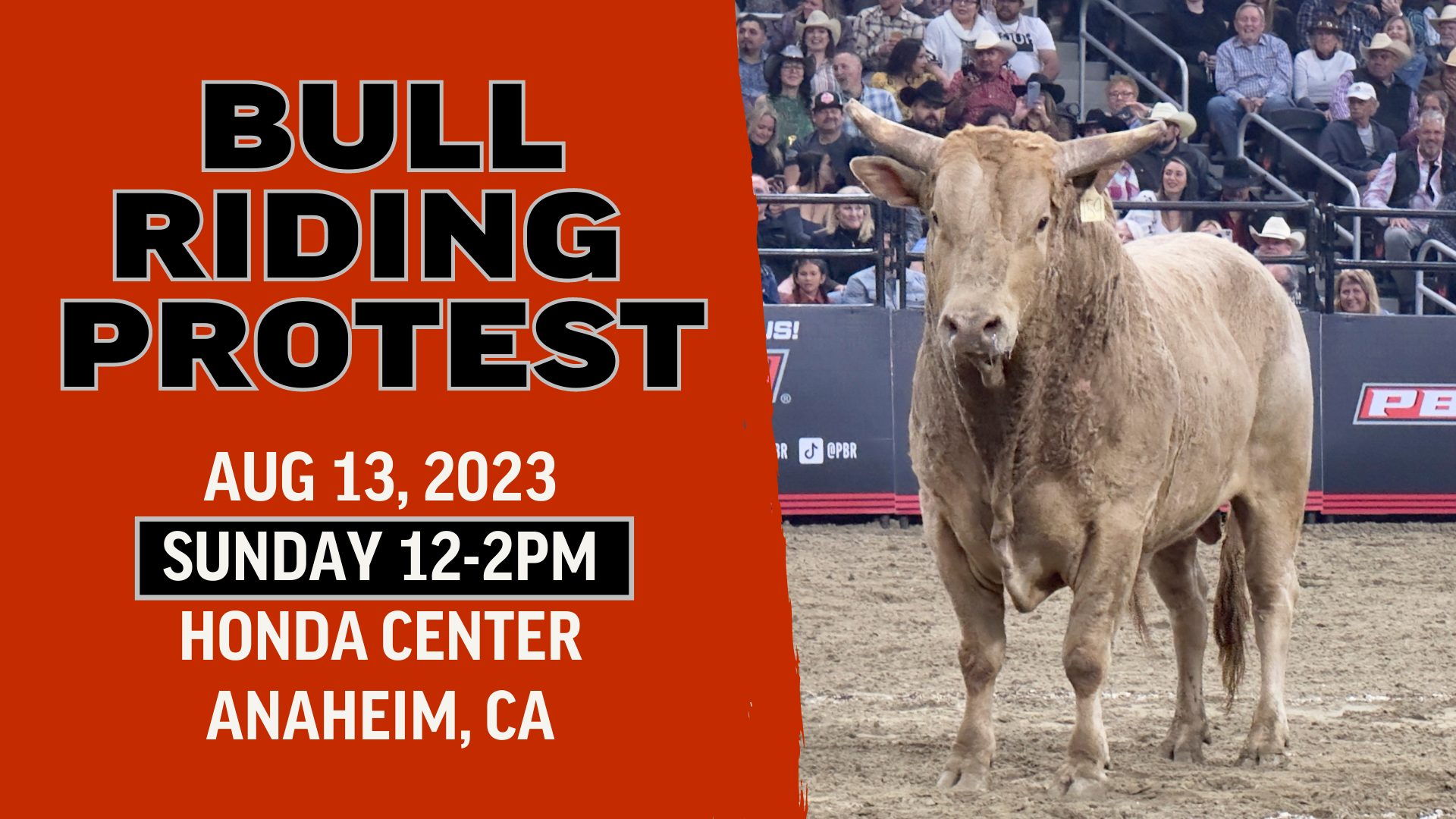 Last Chance for Animals - LCA