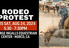 Last Chance for Animals - LCA