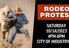 Last Chance for Animals - LCA