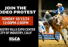 Last Chance for Animals - LCA