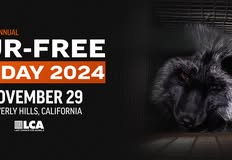 Last Chance for Animals - LCA