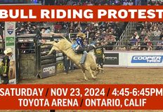 Last Chance for Animals - LCA