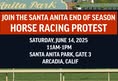 Last Chance for Animals (LCA)