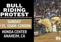 Last Chance for Animals - LCA