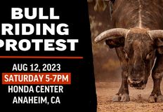 Last Chance for Animals - LCA