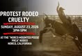Last Chance for Animals - LCA