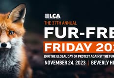 Last Chance for Animals - LCA