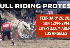 Last Chance for Animals - LCA