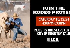 Last Chance for Animals - LCA