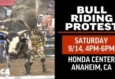 Last Chance for Animals - LCA