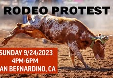 Last Chance for Animals - LCA