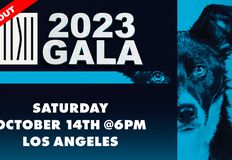 Last Chance for Animals - LCA