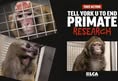 Last Chance for Animals - LCA
