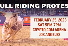 Last Chance for Animals - LCA