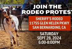 Last Chance for Animals - LCA