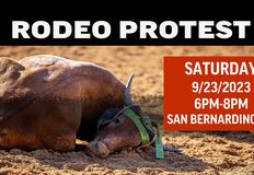 Last Chance for Animals - LCA