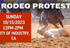 Last Chance for Animals - LCA