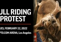 Last Chance for Animals - LCA