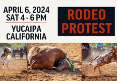 Last Chance for Animals - LCA