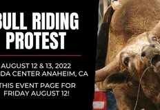 Last Chance for Animals - LCA