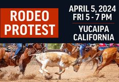 Last Chance for Animals - LCA