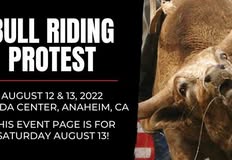 Last Chance for Animals - LCA