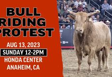 Last Chance for Animals - LCA