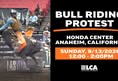 Last Chance for Animals - LCA