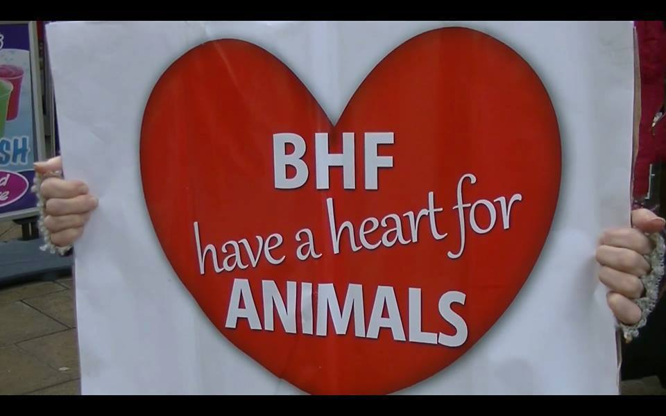 Birmingham Animal Action