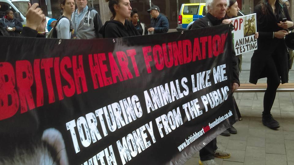Birmingham Animal Action