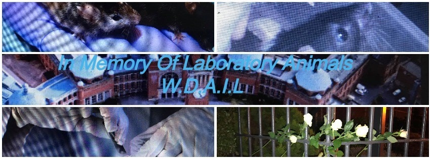 Birmingham Animal Action