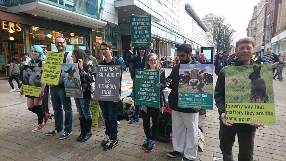 Birmingham Animal Action