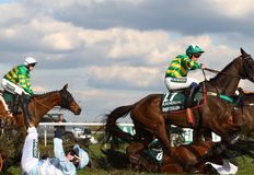 Birmingham Animal Action