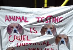 Birmingham Animal Action