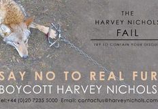 Birmingham Animal Action