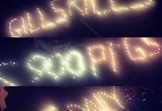 Birmingham Animal Action