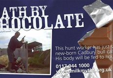 Birmingham Animal Action