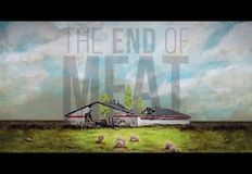 Birmingham Animal Action