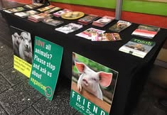 Birmingham Animal Action